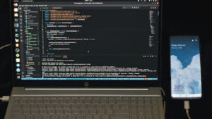 Development: Themes, Plugins & Technical Build 